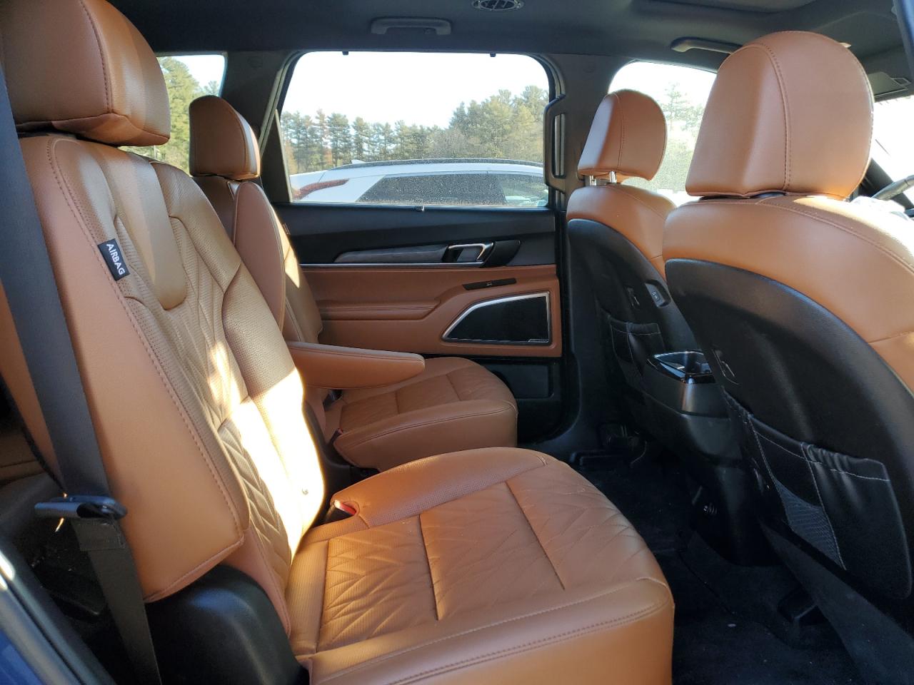 2024 KIA TELLURIDE EX VIN:5XYP3DGC2RG504733