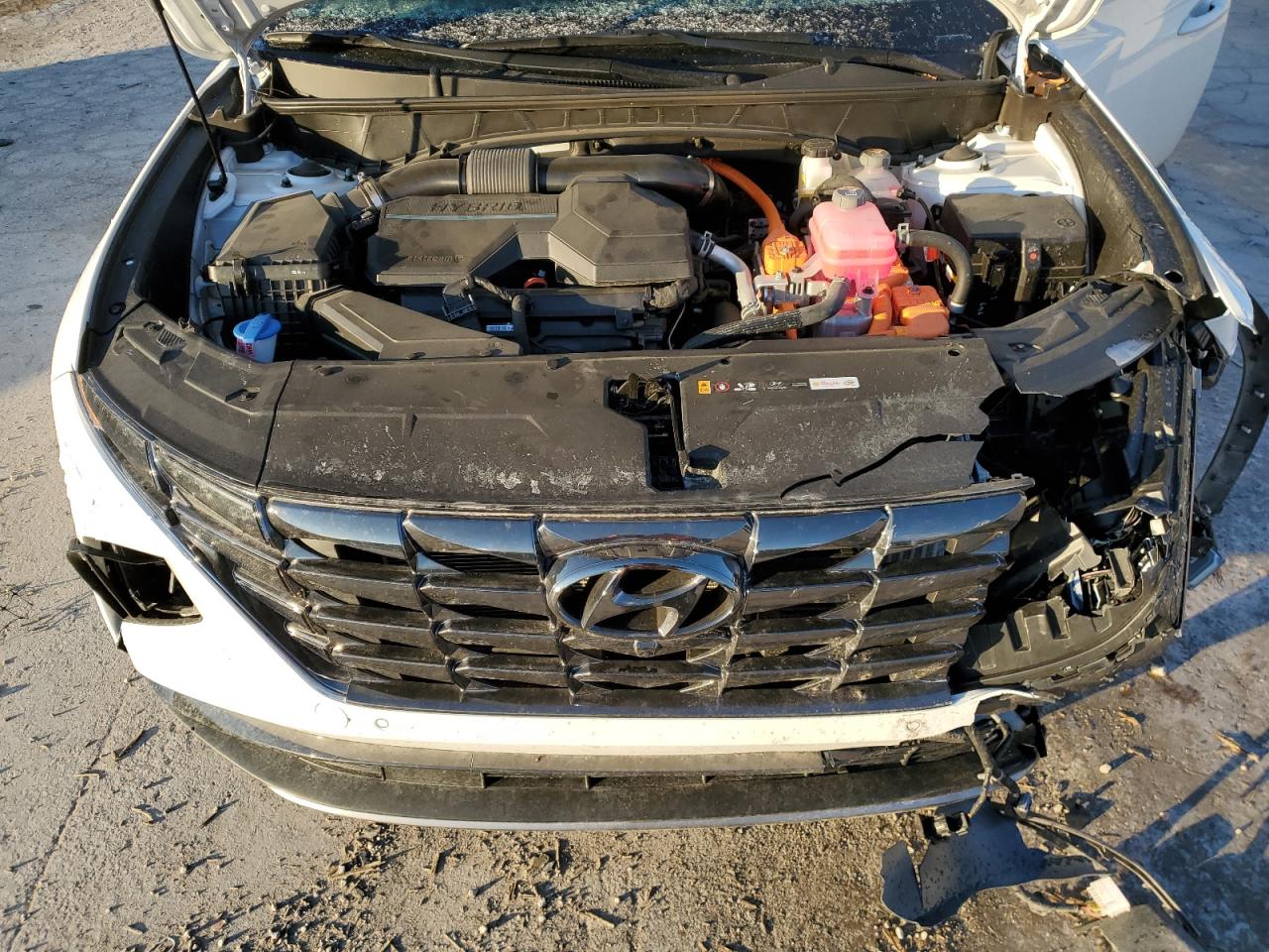 2024 HYUNDAI TUCSON LIMITED VIN:KM8JECD14RU219443