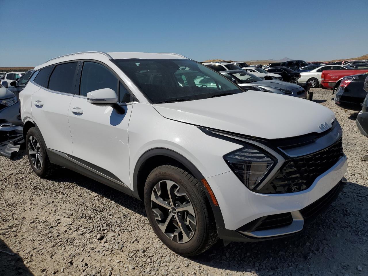 2024 KIA SPORTAGE EX VIN:5XYK3CDF0RG203137