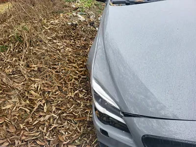 2015 BMW 640 NONE VIN: