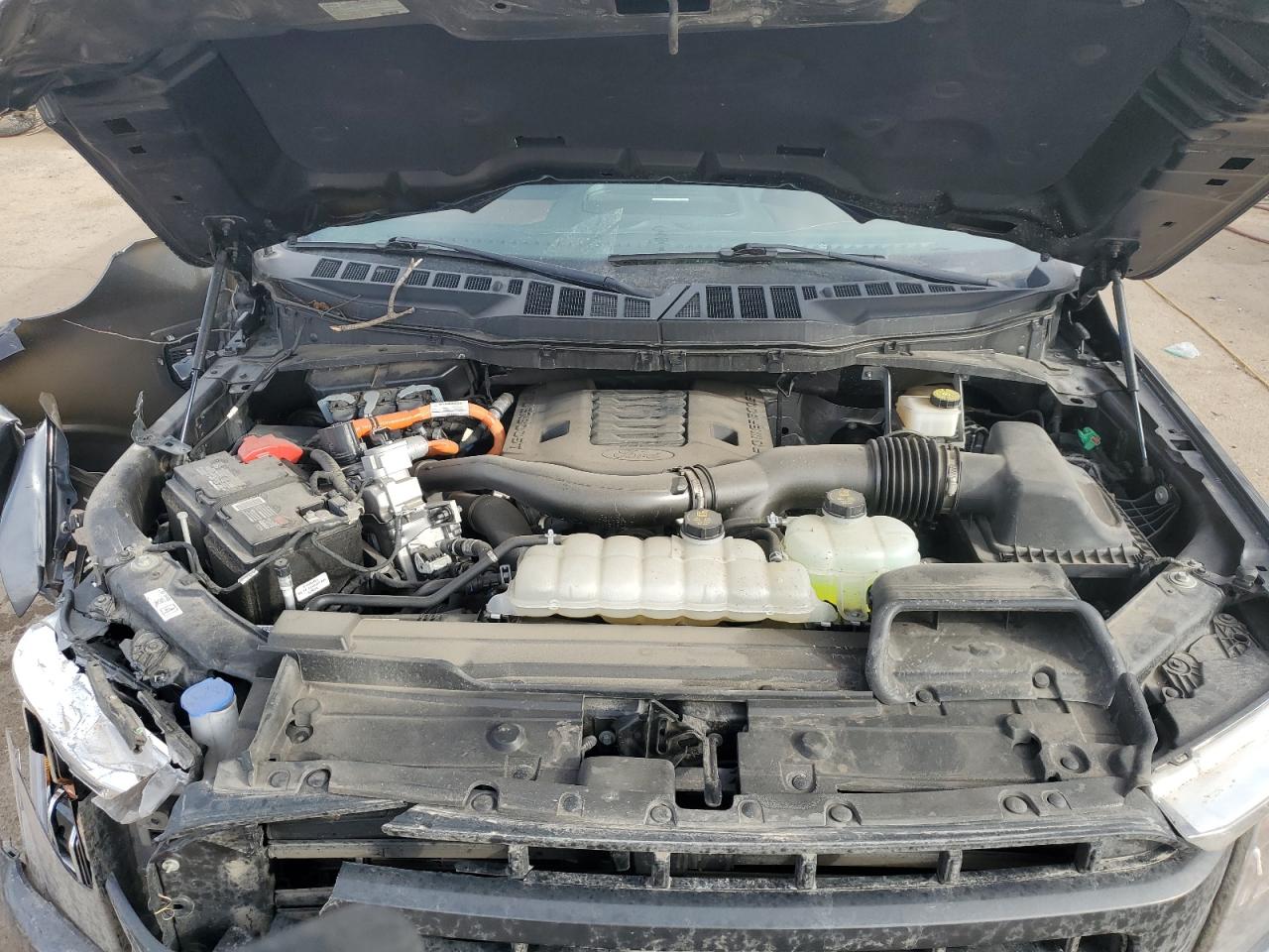 2023 FORD F150 SUPERCREW VIN:1FTFW1ED5PFC55373