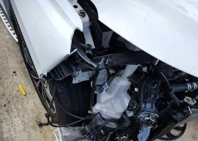 2019 Hyundai Santa FE KMHS381ADKU169994 VIN:KMHS381ADKU169994