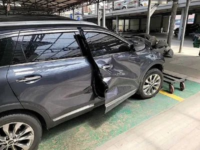 2019 Kia Sorento KNAPS81BBLA557183 VIN:KNAPS81BBLA557183
