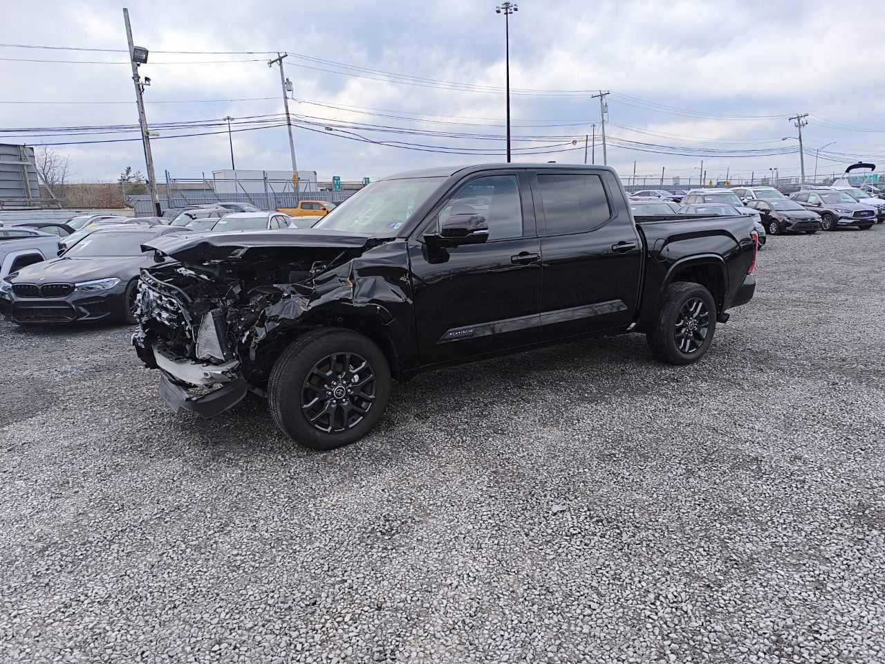 2023 TOYOTA TUNDRA CREWMAX PLATINUM VIN:5TFNA5DB8PX127429