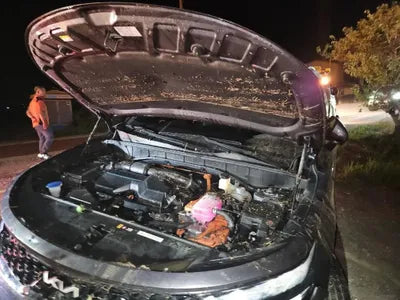 2021 Kia Sorento KNARL81GBNA079343 VIN:KNARL81GBNA079343