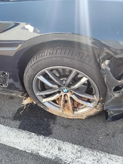 2019 BMW 520 WBAJF3108KBJ09099 VIN:WBAJF3108KBJ09099