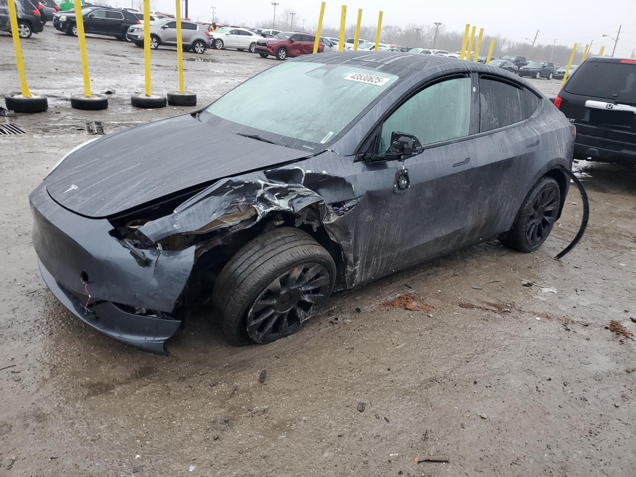 2023 TESLA MODEL Y  VIN:7SAYGDEE4PF870035