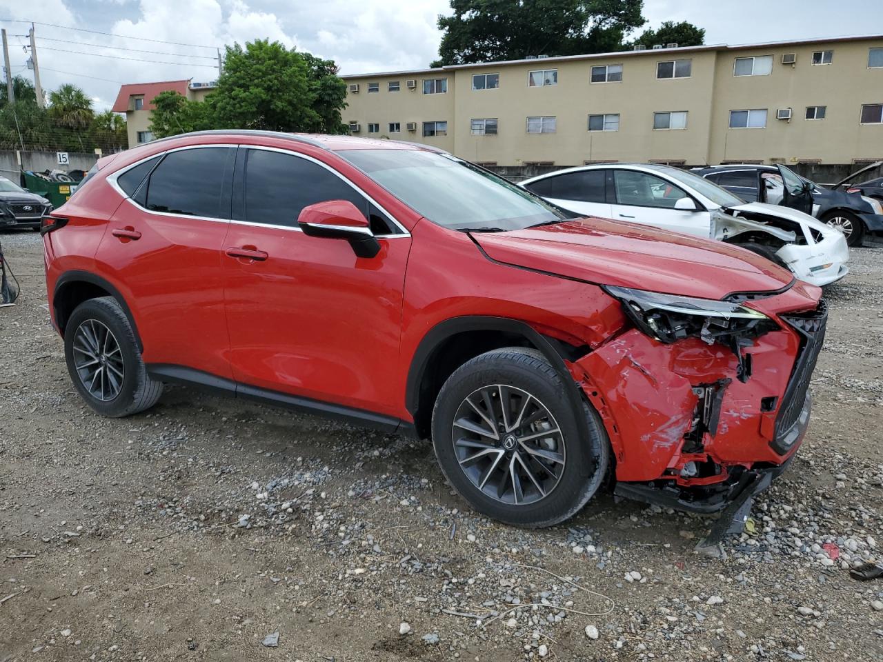 2024 LEXUS NX 250 BASE VIN:2T2ADCAZ1RC015158