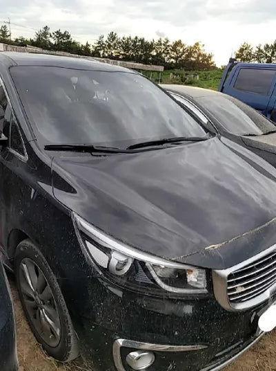 2016 Kia Carnival 744KMKNAME81ABGS1 VIN:744KMKNAME81ABGS1