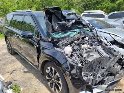 2020 Kia Carnival KNANC81BBMS039848 VIN:KNANC81BBMS039848