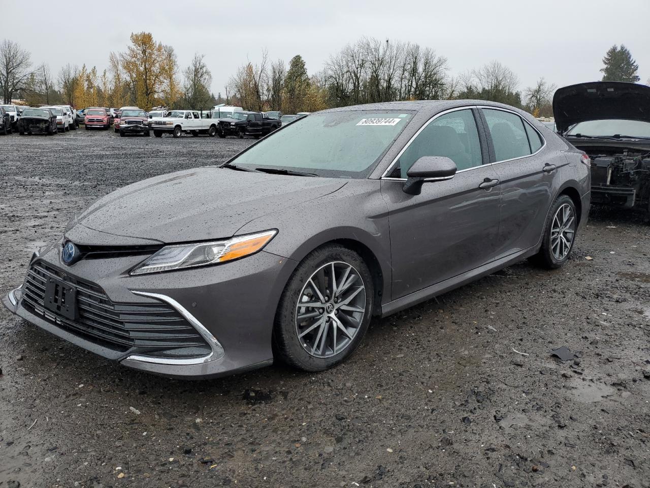 2022 TOYOTA CAMRY XLE VIN:4T1F31AK2NU573159