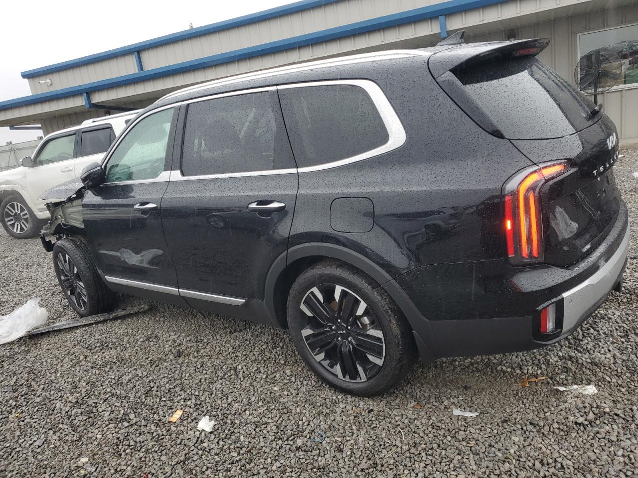 2024 KIA TELLURIDE SX VIN:5XYP5DGC1RG507245