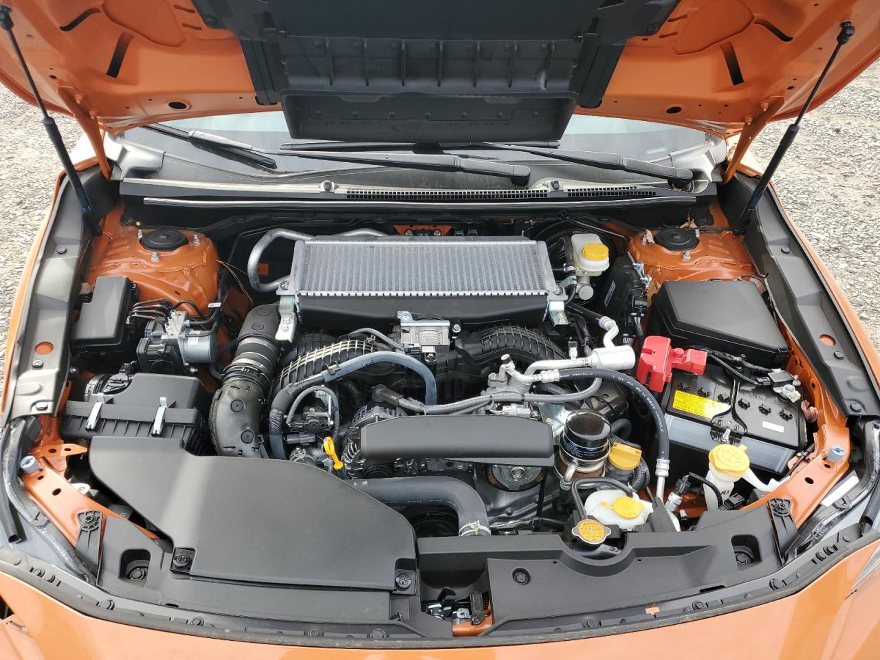 2023 SUBARU WRX PREMIUM VIN:JF1VBAF67P9818564