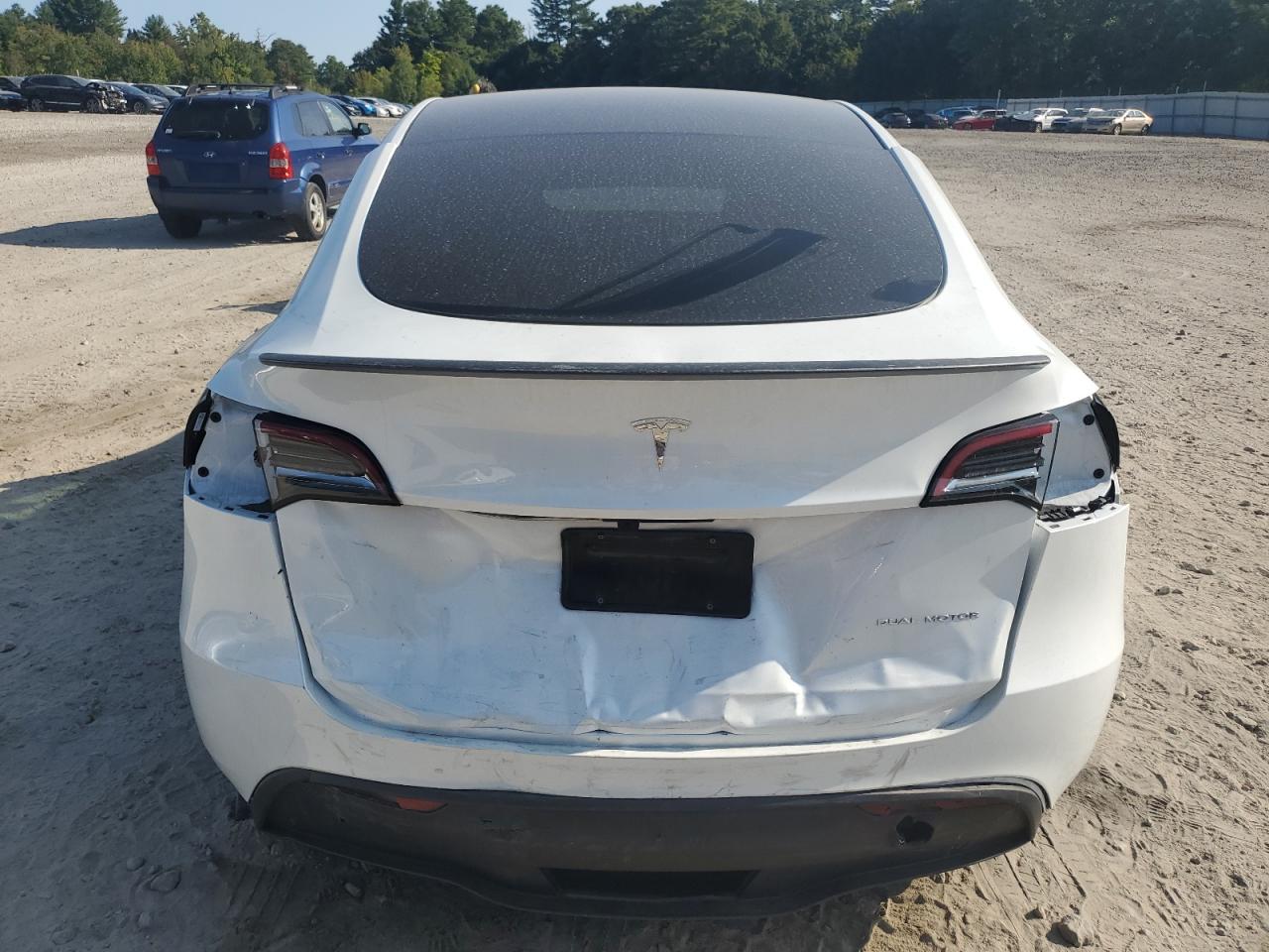 2023 TESLA MODEL Y  VIN:7SAYGDEE1PA145859