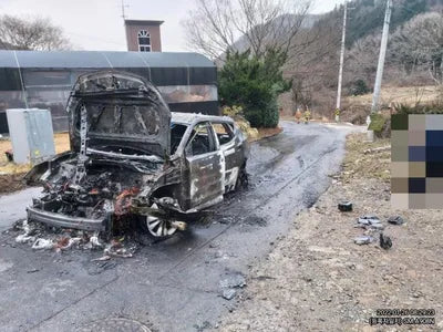 2017 Hyundai Santa FE KMHSW81UBJU806107 VIN:KMHSW81UBJU806107