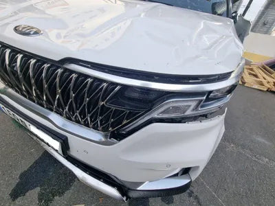 2020 Kia Carnival KNANC81BBMS015175 VIN:KNANC81BBMS015175
