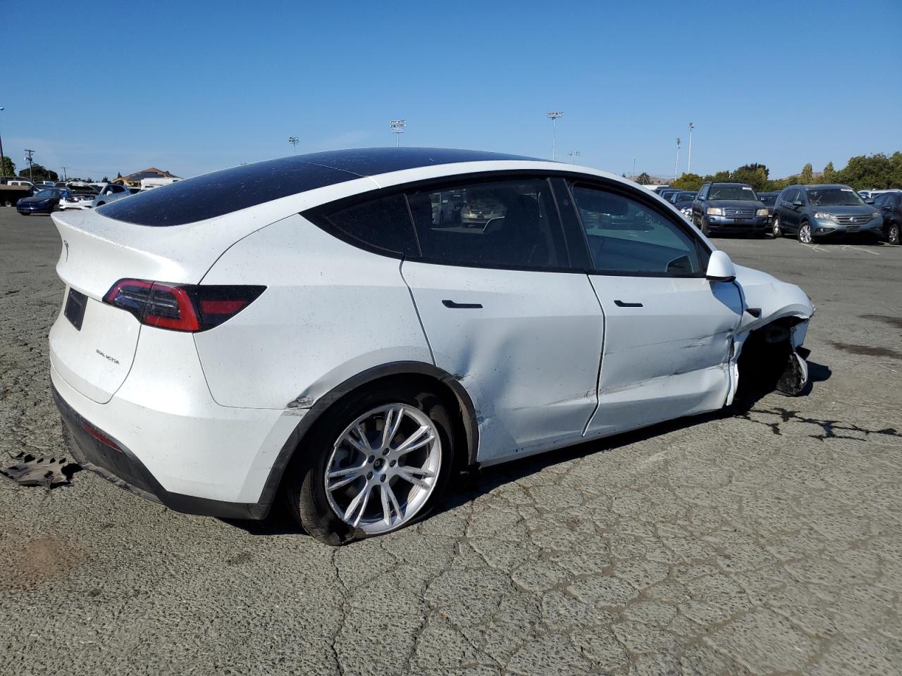 2024 TESLA MODEL Y  VIN:7SAYGDEE0RF982107