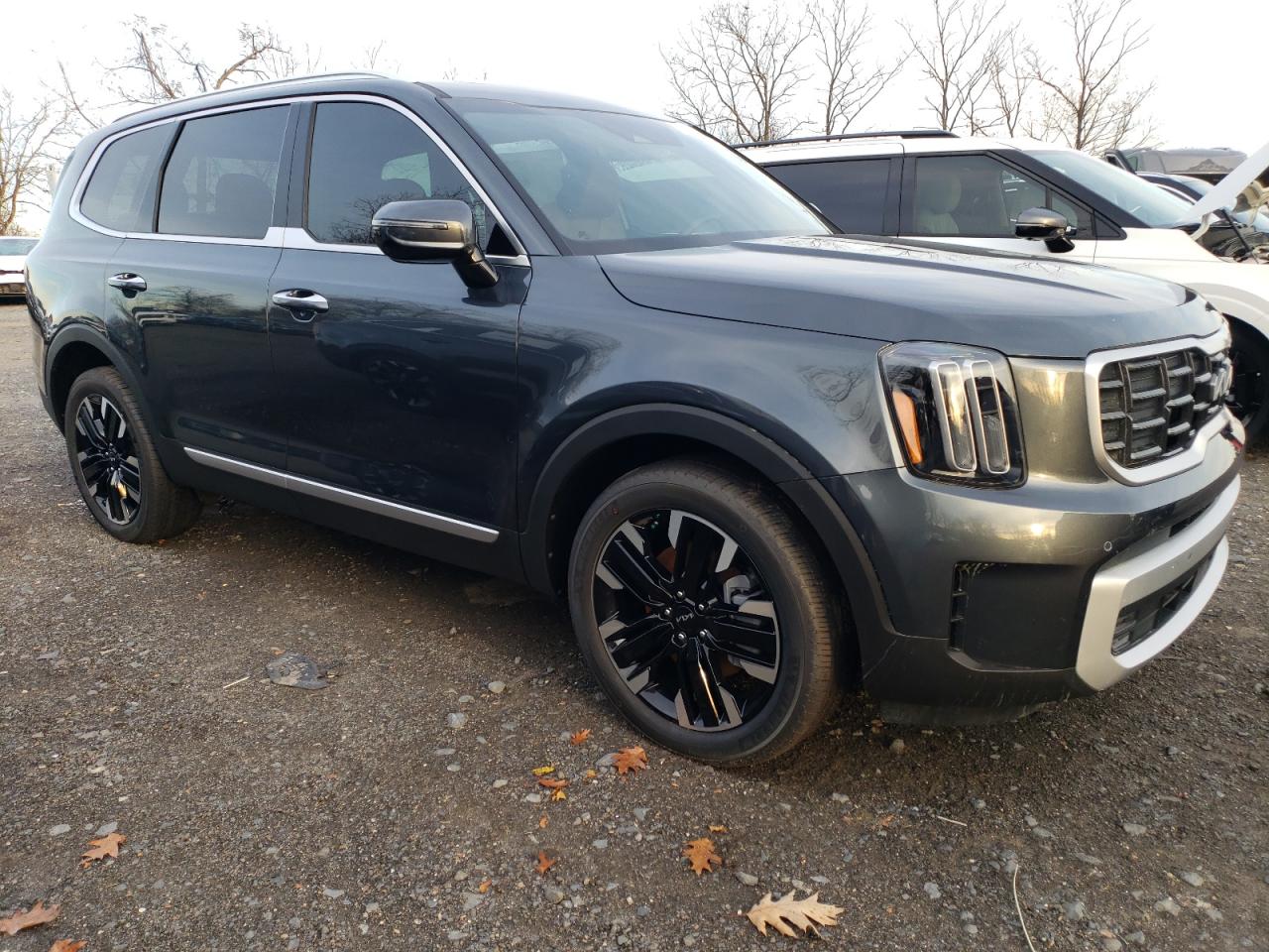 2024 KIA TELLURIDE SX VIN:5XYP5DGC5RG541334