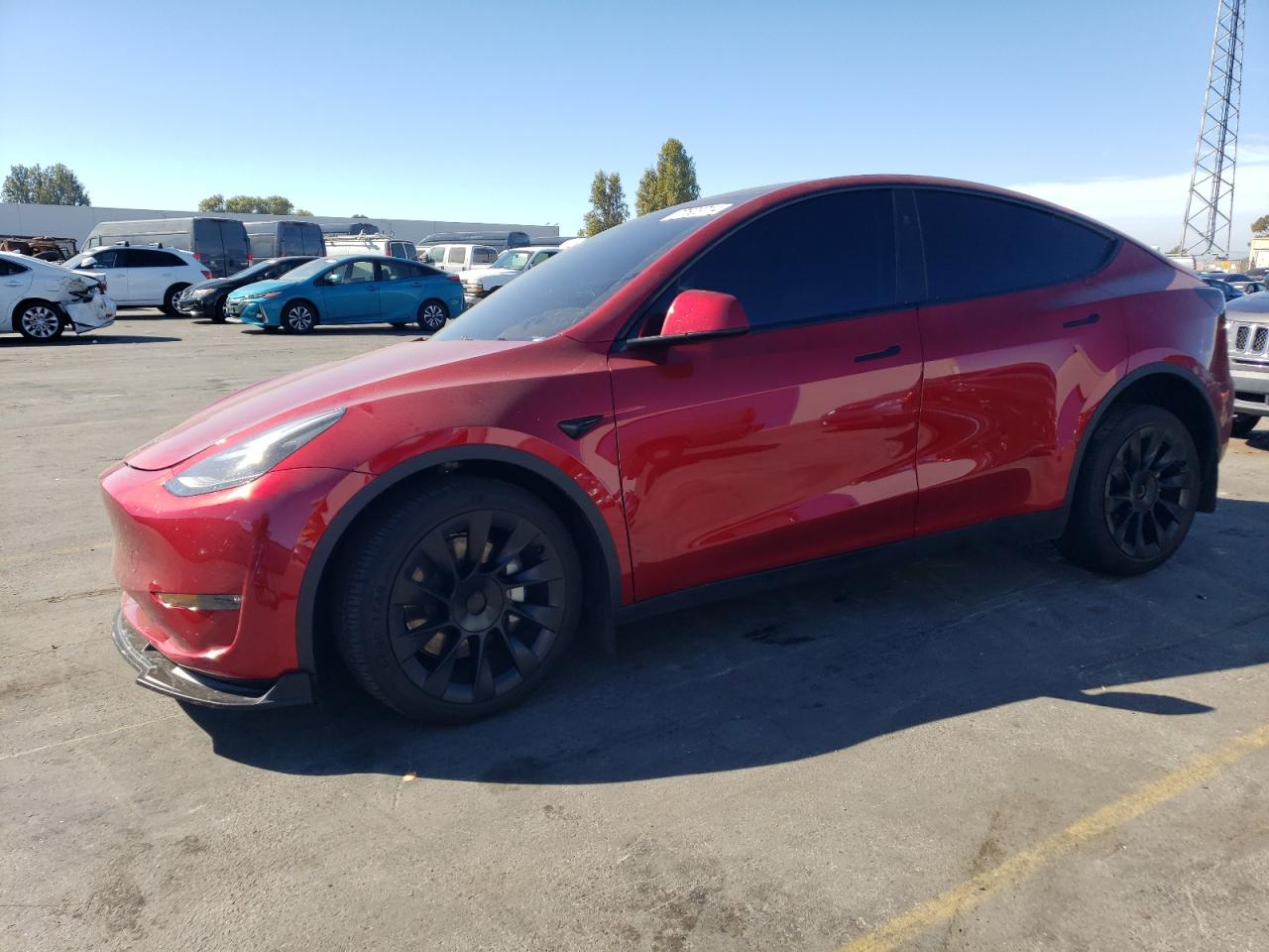 2024 TESLA MODEL Y  VIN:7SAYGDEE5RF005240