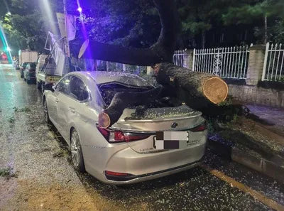 2018 Lexus ES 300 VIN: