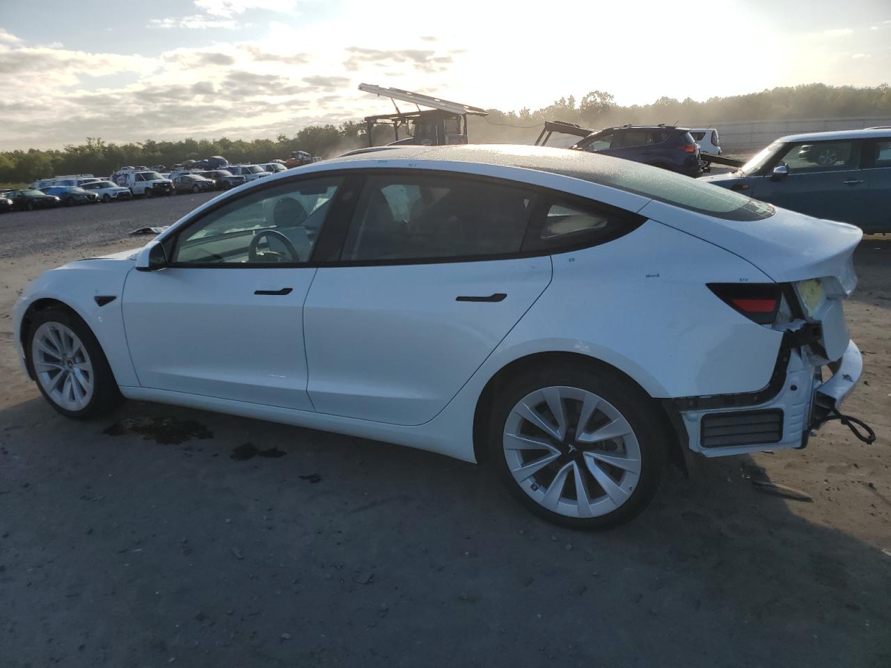 2023 TESLA MODEL 3  VIN:5YJ3E1EA8PF449783