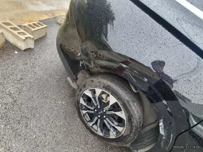 2021 Kia Carnival KNANC81BBMS050231 VIN:KNANC81BBMS050231
