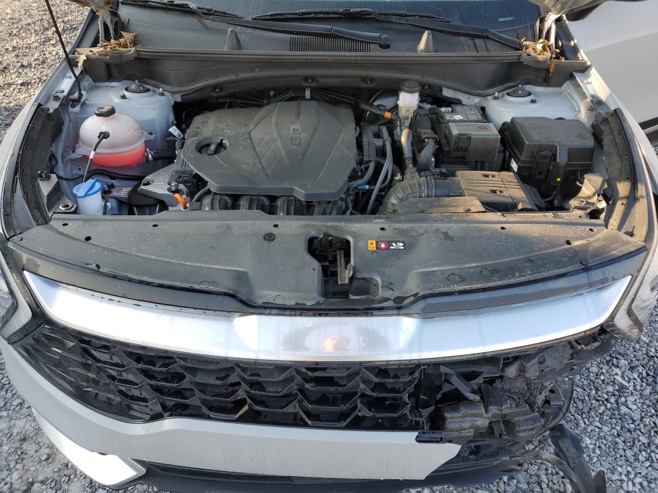 2024 KIA SPORTAGE SX VIN:5XYK43DF9RG182978