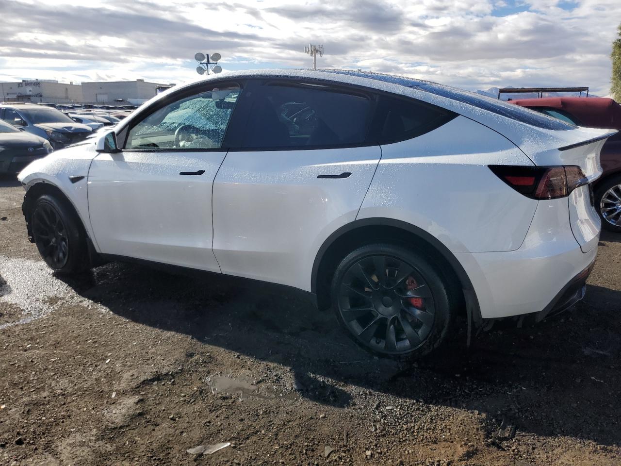 2023 TESLA MODEL Y  VIN:7SAYGDEE5PA118390