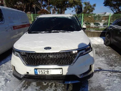 2020 Kia Carnival KNANE81BBMS010172 VIN:KNANE81BBMS010172