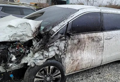 2019 Kia Carnival KNHMF37ABKS553933 VIN:KNHMF37ABKS553933
