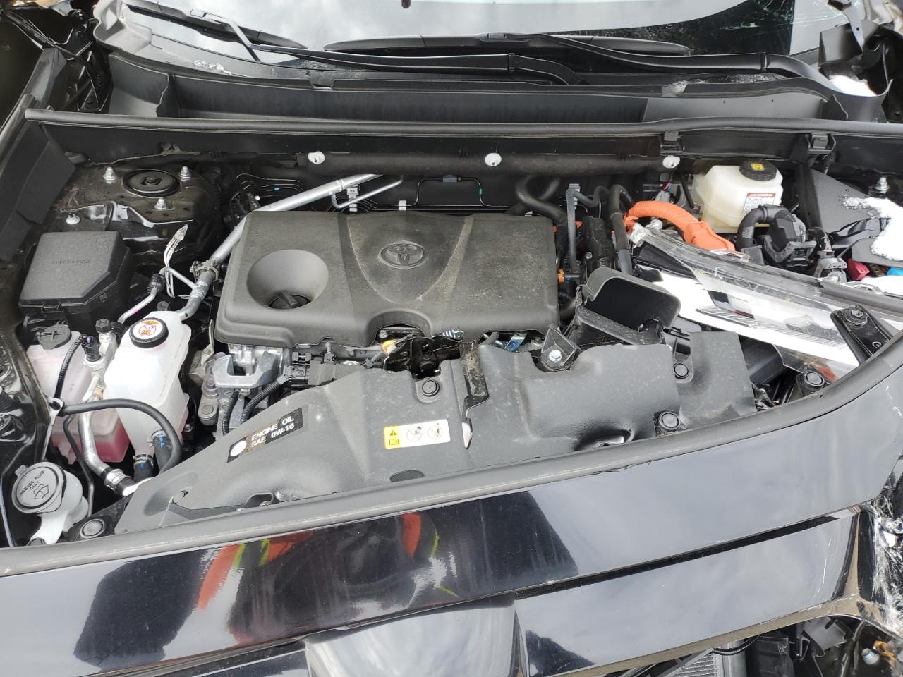 2024 TOYOTA RAV4 XLE VIN:4T3RWRFVXRU154625