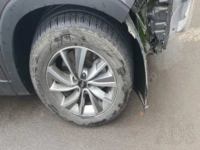 2019 Hyundai Santa FE KMHS281BBKU160055 VIN:KMHS281BBKU160055