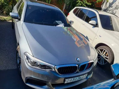 2020 BMW 520 WBAJF5105LWW55090 VIN:WBAJF5105LWW55090