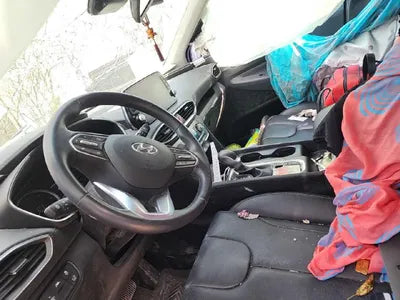 2019 Hyundai Santa FE VIN: