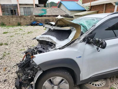 2019 Hyundai Kona KMHK381GFKU047821 VIN:KMHK381GFKU047821