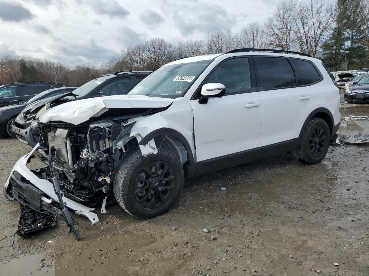 2024 KIA TELLURIDE SX VIN:5XYP5DGC0RG508189