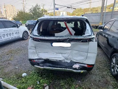 2021 Kia Carnival KNANE813BMS052570 VIN:KNANE813BMS052570