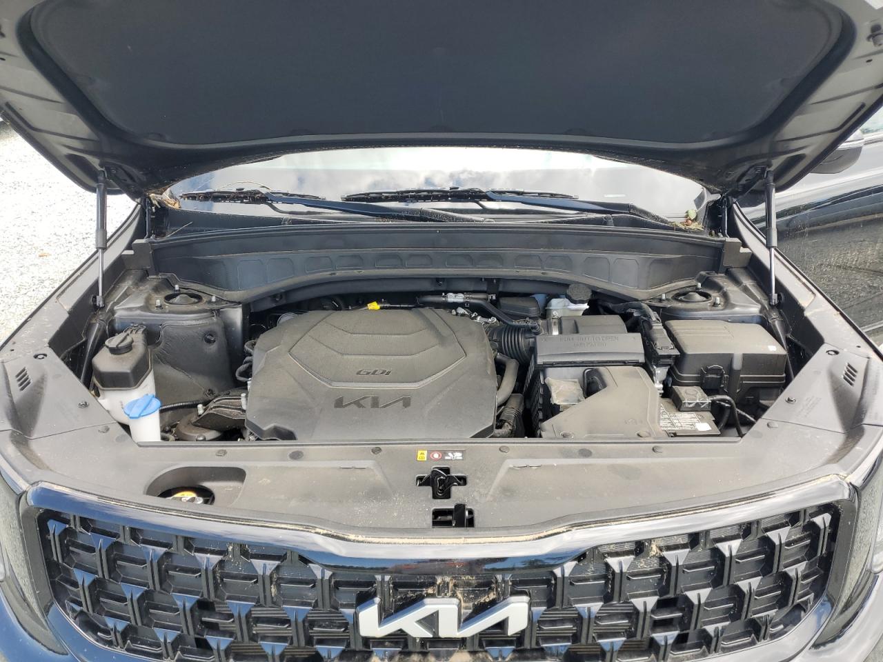 2024 KIA TELLURIDE EX VIN:5XYP3DGC6RG446545