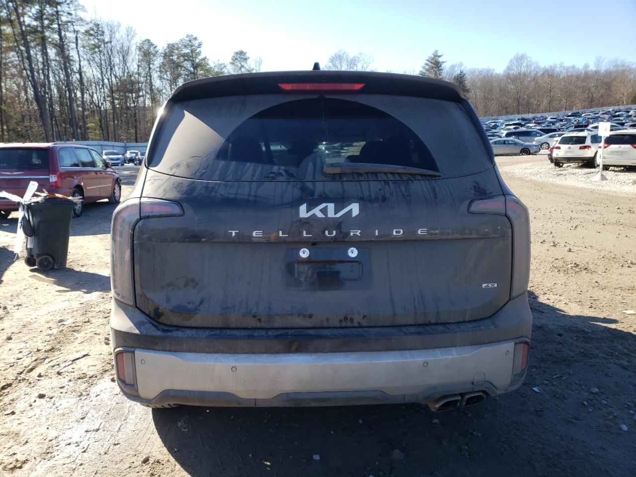 2024 KIA TELLURIDE EX VIN:5XYP3DGC8RG441041