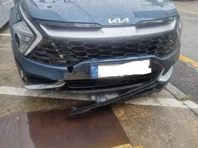 2022 Kia Sportage KNAPU81BGNK003053 VIN:KNAPU81BGNK003053