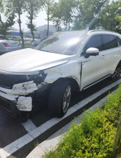 2021 Kia Sorento KNARL81BGMA026537 VIN:KNARL81BGMA026537