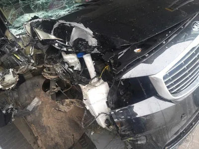 2014 Kia Carnival VIN: