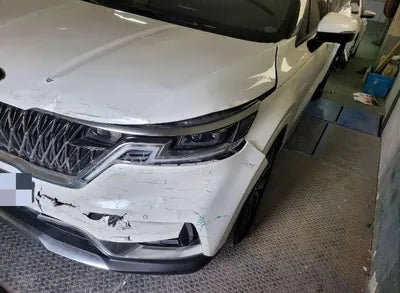 2020 Kia Carnival KNANC81BBMS021671 VIN:KNANC81BBMS021671
