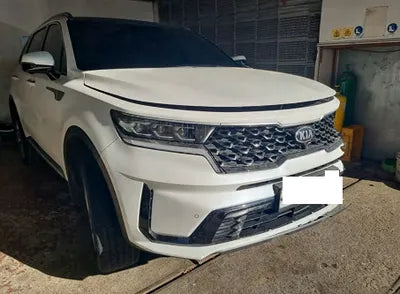 2021 Kia Sorento KNARH81BGMA010319 VIN:KNARH81BGMA010319