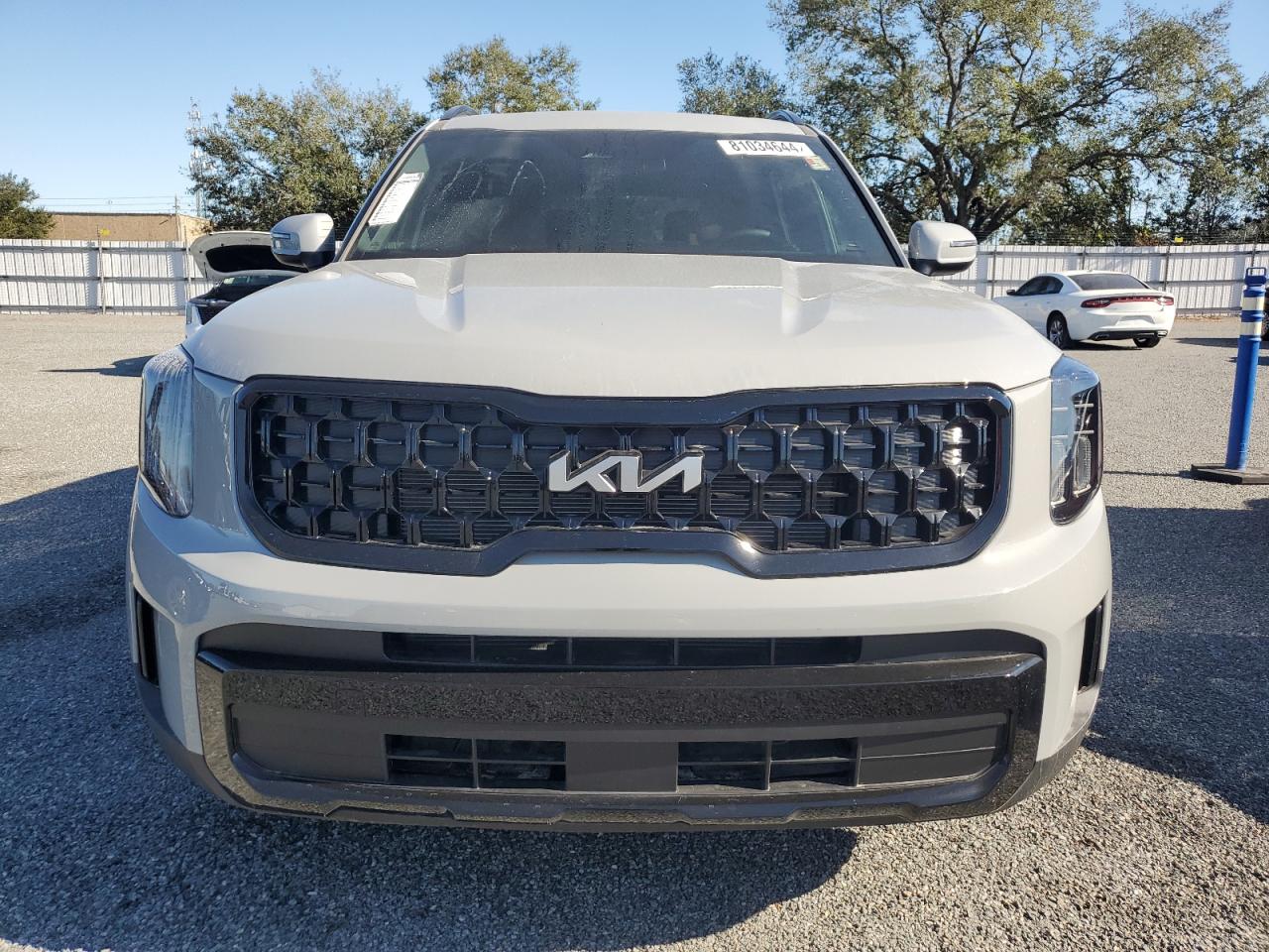 2024 KIA TELLURIDE EX VIN:5XYP3DGC8RG555833