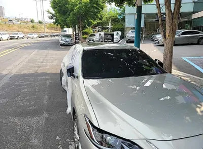 2019 Lexus ES 300 JTHB21B15K2020135 VIN:JTHB21B15K2020135