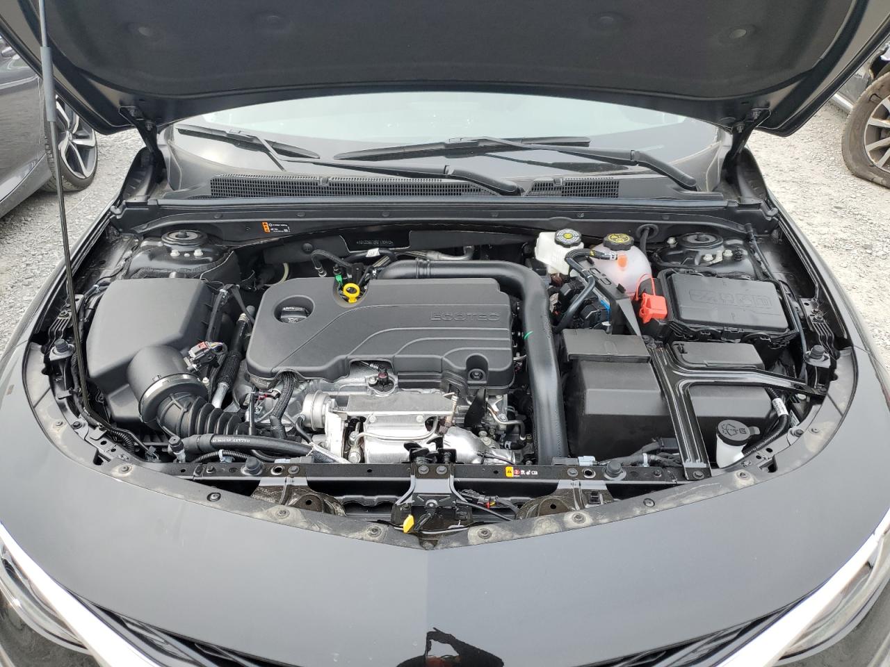 2024 CHEVROLET MALIBU LT VIN:1G1ZD5ST0RF170412