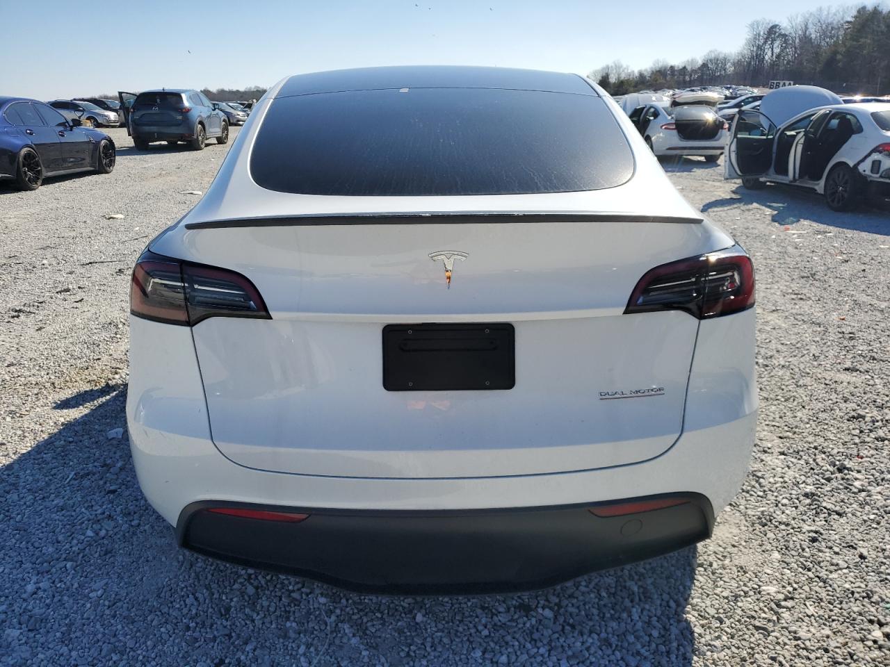2023 TESLA MODEL Y  VIN:7SAYGDEFXPF935544
