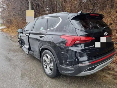 2020 Hyundai Santa FE 1KMHS281BBLU28875 VIN:1KMHS281BBLU28875