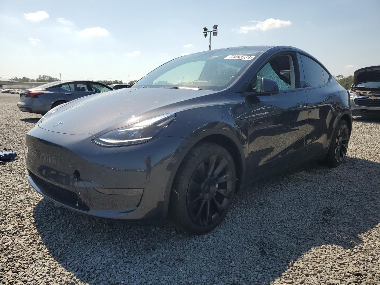 2024 TESLA MODEL Y  VIN:7SAYGDED8RF091697